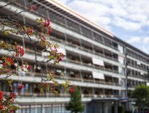 Crans Montana Sanatorium 4