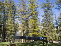 Crans Montana Golf 2