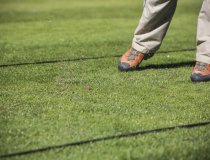 Crans Montana Golf 4