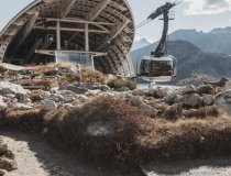 Courmayeur Alpine Flowers    7