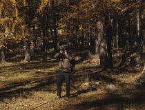 Courmayeur Guardian of the Forest   5