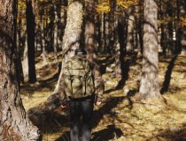 Courmayeur Guardian of the Forest   6