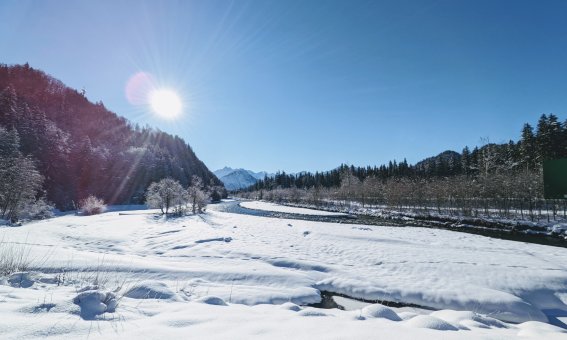 Winterspaziergang um den Auwaldsee