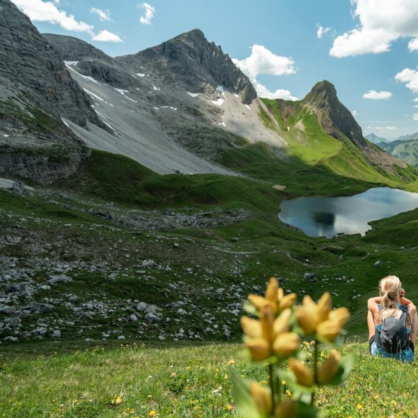 Allgäu Idylle