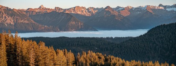 Magische Obheiter Momente in den Allgäuer Alpen