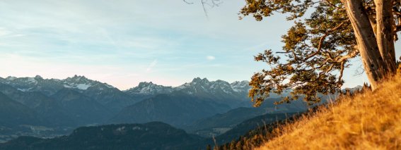 Der Herbst zieht ein ins Allgäu