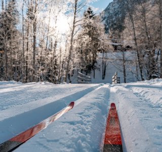 Langlaufskier gleiten über die weiße, verschneite Landschaft unter Sonnenstrahlen zwischen Bäumen.