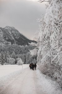 Winterwanderung am Waldrand in den Bergen