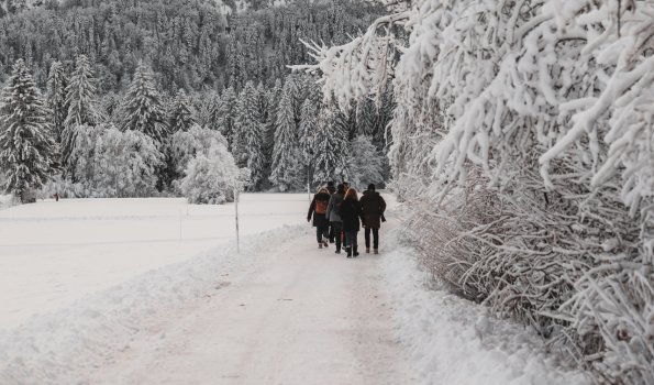 Winterwanderung am Waldrand in den Bergen