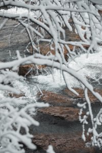 Fließender Bach mit klarem Wasser im Winter