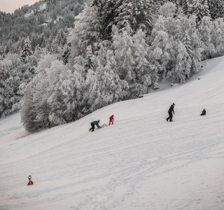 Mehrere Personene, die am Waldrand Schlittenfahren