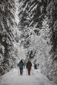 Winterspaziergang durch den Wald