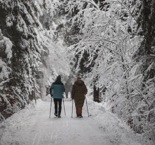 Winterspaziergang durch den Wald
