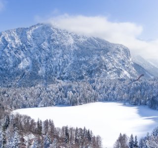 Eine ruhige Winterlandschaft zeigt einen gefrorenen See, umgeben von schneebedeckten Bäumen und majestätischen Bergen.