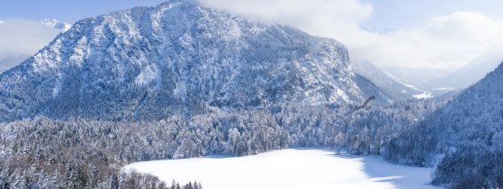 Eine ruhige Winterlandschaft zeigt einen gefrorenen See, umgeben von schneebedeckten Bäumen und majestätischen Bergen.