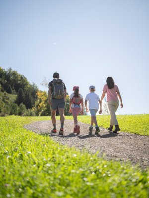Familie mit zwei Kindern wandert auf einem Weg. Die Sonne scheint. Bäume und Wiese sind im Hintergrund sichtbar.