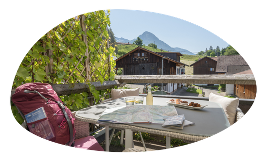 Bichl - Newsletter Icons Social Media (53)