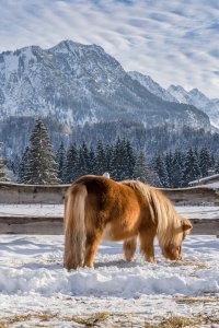 Winter lena grabecki 9
