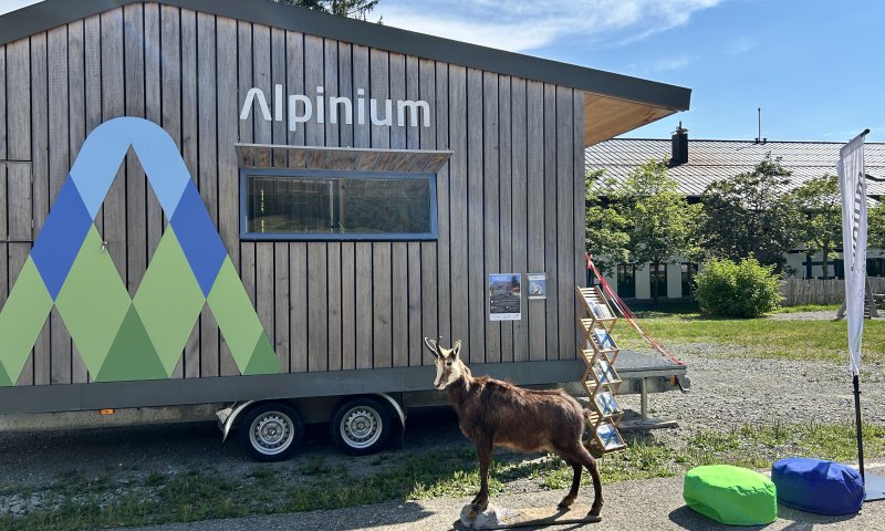 Das Rangermobil vom Alpinium unterwegs im Allgäu.