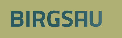 Logo Birgsau freigestellt