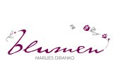 Logo-blumendiranko-rz-farbe4c