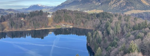 Freibergsee