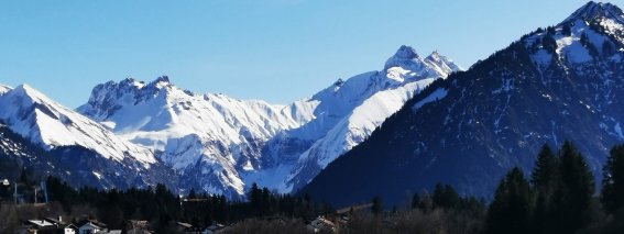 Blick aufs Nebelhorn von den Wiesen in Oberstdorf