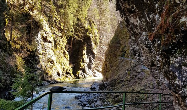 Eingang Klamm Licht und Schatten