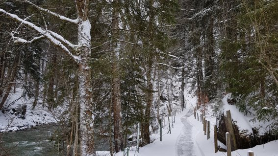 Winterwandern