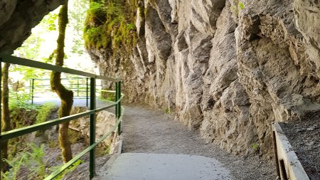 Blick aus Tunnel