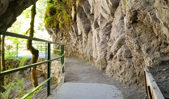 Blick aus Tunnel