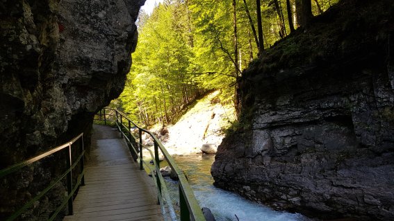 Weg aus der Klamm