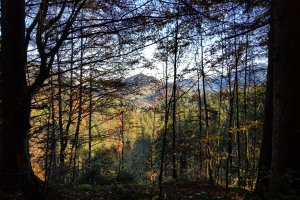 Aufstieg Sessel Herbst