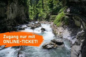 Online-Ticket