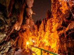 Bäume der Breitachklamm im Fackelschein