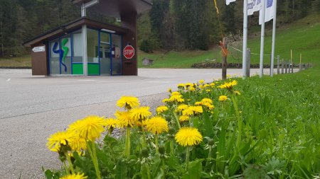 Parkplatz P1 Tiefenbach Sommer