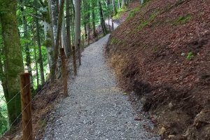 Neuer Waldweg zum Parkplatz