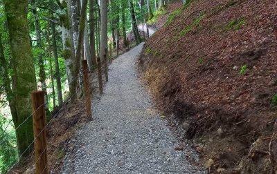 Neuer Waldweg zum Parkplatz