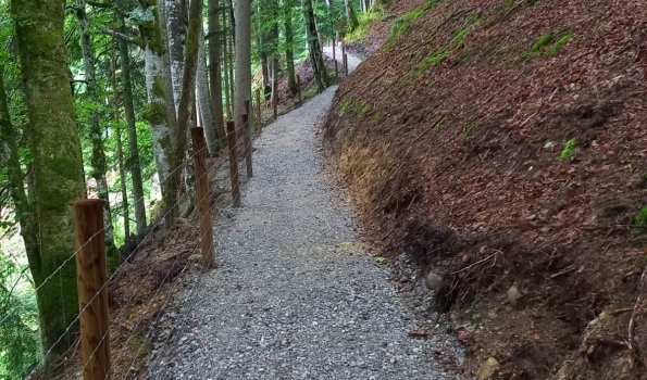 Neuer Waldweg zum Parkplatz