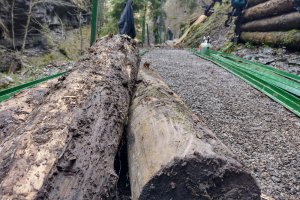 Frühjahrsarbeiten in der Breitachklamm
