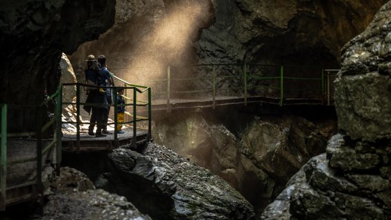 Familie im Lichtstrahl