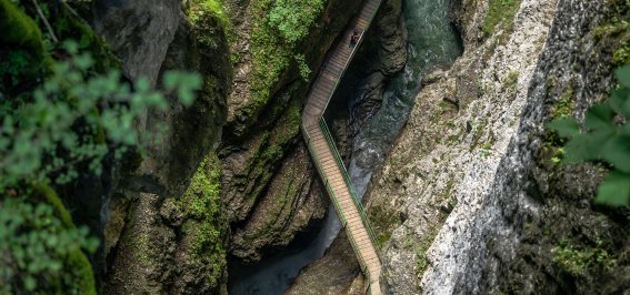 Blick vom Zwingsteg 2024