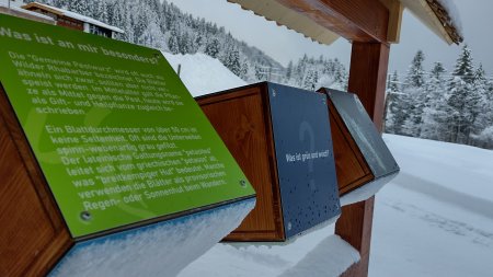 Würfel Walserschanz - Winter