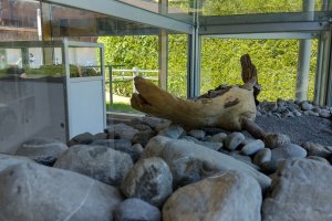 Ausstellung Tiefenbach