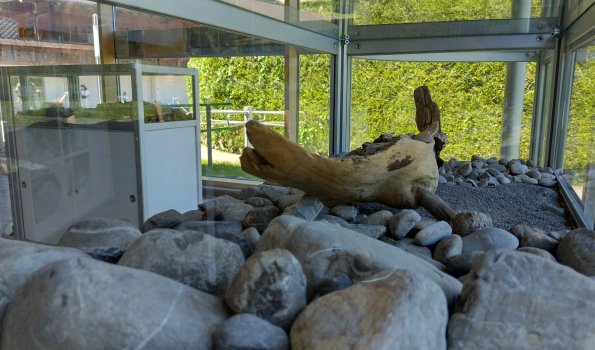 Ausstellung Tiefenbach