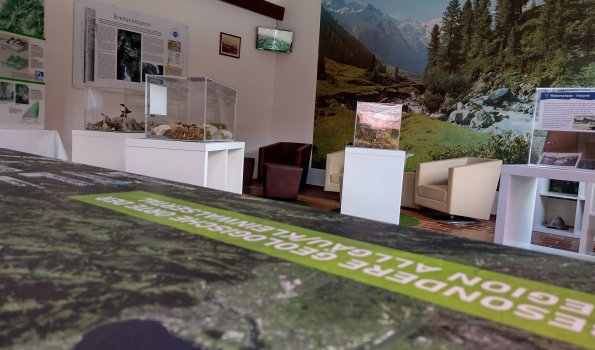 Im Informationszentrum werden Besucher über die alpine Flora und Fauna der Breitachklamm informiert.