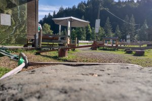 Ein sonnige in den Bergen, umgeben von Natur und einem liebevoll angelegten Spielbereich.