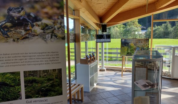 In der Infostation Tiefenbach erfährt man in einer interaktiven Ausstellung mehr über den Alpensalamander und seinen Lebensraum in den Bergen.