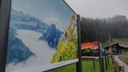 Fotogipfel Jonathan Besler
