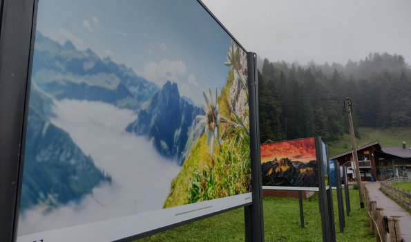 Fotogipfel Jonathan Besler